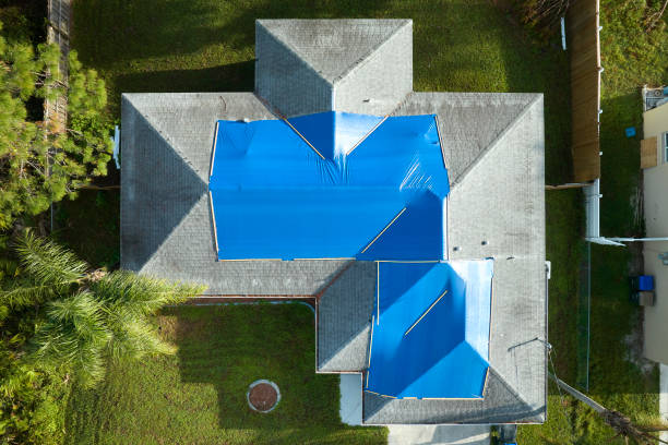 Reliable Wolf Point, MT Roofing Services Solutions